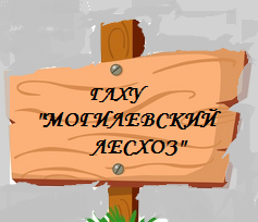 ГЛХУ Могилевский лесхоз